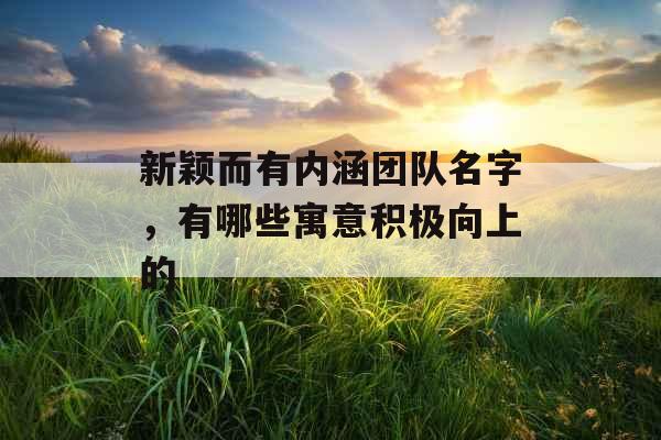 新颖而有内涵团队名字,有哪些寓意积极向上的