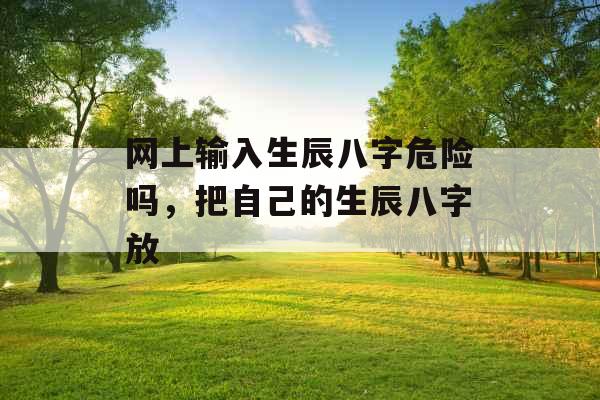 网上输入生辰八字危险吗,把自己的生辰八字放