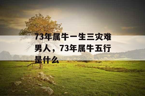 73年属牛一生三灾难男人，73年属牛五行是什么