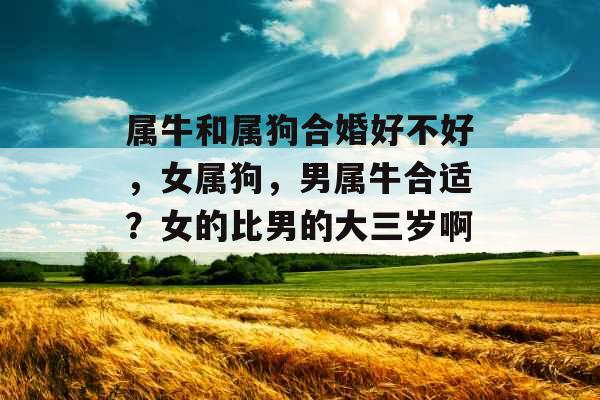属牛和属狗合婚好不好，女属狗，男属牛合适？女的比男的大三岁啊！