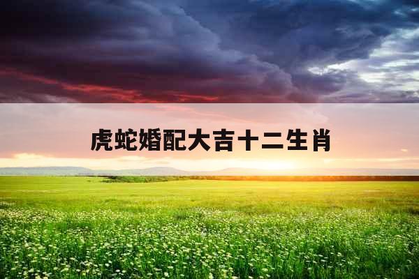 虎蛇婚配大吉十二生肖 虎蛇婚配大吉十二生肖