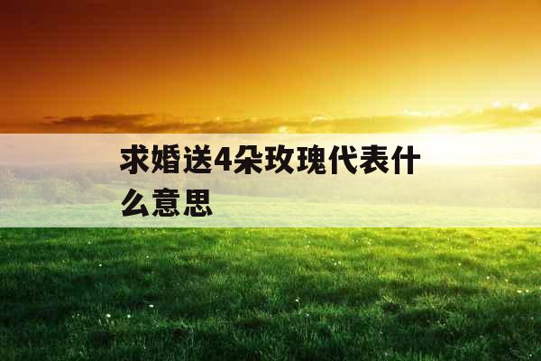 求婚送4朵玫瑰代表什么意思