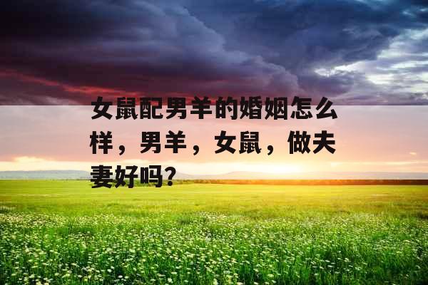 女鼠配男羊的婚姻怎么样，男羊，女鼠，做夫妻好吗？