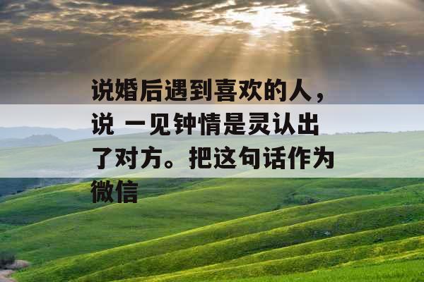 说婚后遇到喜欢的人，说 一见钟情是灵认出了对方。把这句话作为微信