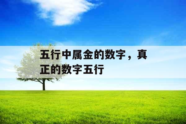 五行中属金的数字，真正的数字五行