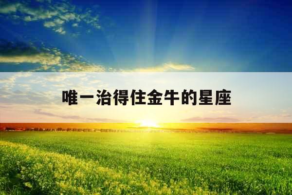 唯一治得住金牛的星座