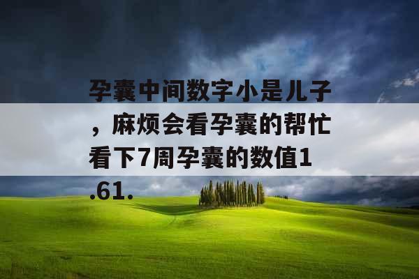 孕囊中间数字小是儿子，麻烦会看孕囊的帮忙看下7周孕囊的数值1.61.