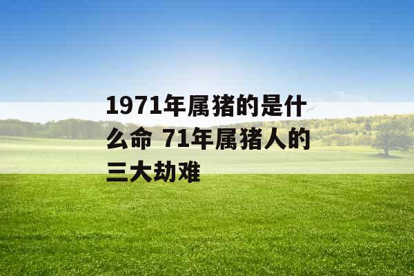 1971年属猪的是什么命 71年属猪人的三大劫难 1971年属猪的是什么命 71年属猪人的三大劫难