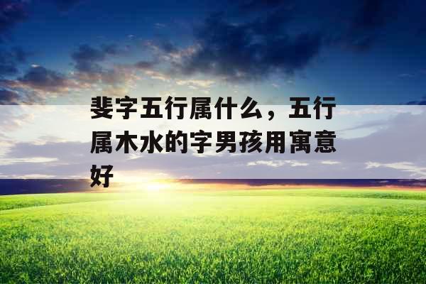 斐字五行属什么，五行属木水的字男孩用寓意好