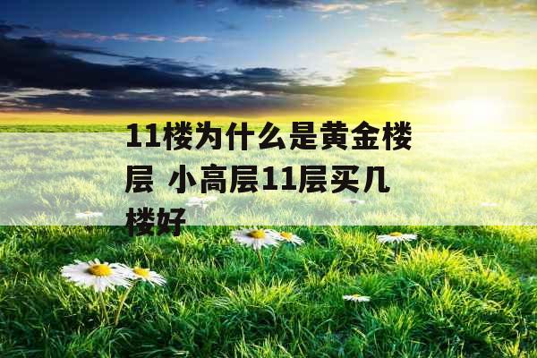 11楼为什么是黄金楼层 小高层11层买几楼好