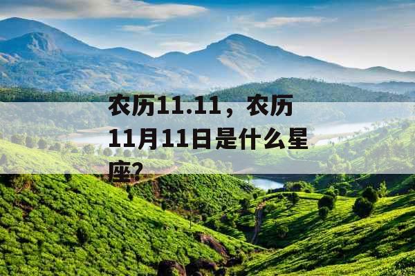 农历11.11，农历11月11日是什么星座？