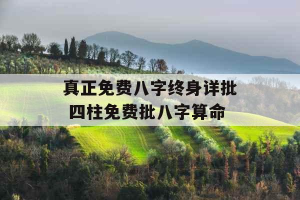真正免费八字终身详批 四柱免费批八字算命 真正免费八字终身详批 四柱免费批八字算命