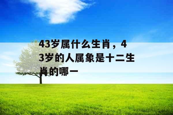 43岁属什么生肖，43岁的人属象是十二生肖的哪一