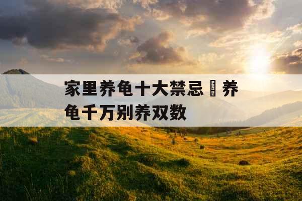 家里养龟十大禁忌 养龟千万别养双数