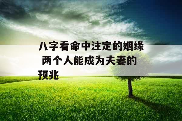 八字看命中注定的姻缘 两个人能成为夫妻的预兆