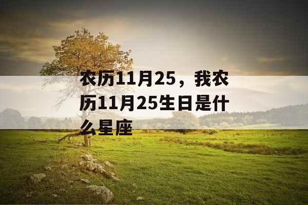 农历11月25,我农历11月25生日是什么星座
