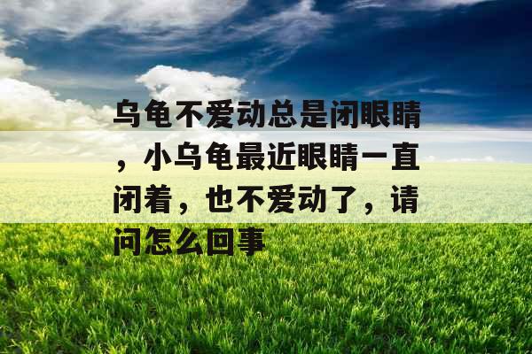 乌龟不爱动总是闭眼睛，小乌龟最近眼睛一直闭着，也不爱动了，请问怎么回事