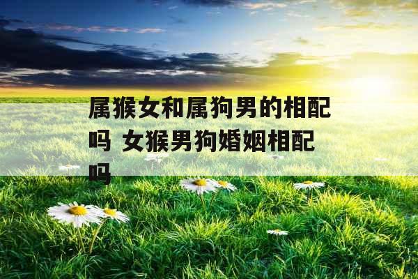 属猴女和属狗男的相配吗 女猴男狗婚姻相配吗