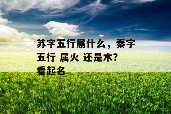 苏字五行属什么，秦字五行 属火 还是木？看起名