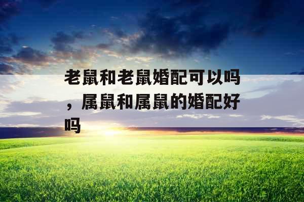 老鼠和老鼠婚配可以吗,属鼠和属鼠的婚配好吗