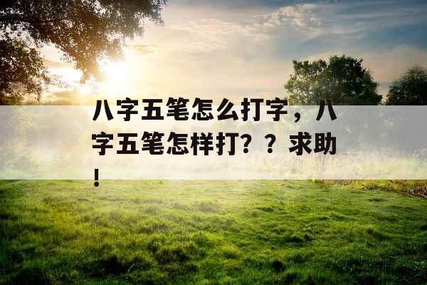 八字五笔怎么打字，八字五笔怎样打？？求助！