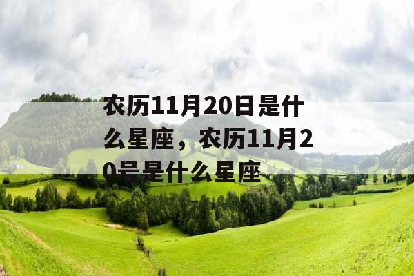 农历11月20日是什么星座,农历11月20号是什么星座 农历11月20日是什么星座,农历11月20号是什么星座