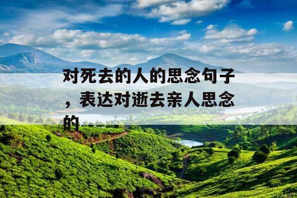 对死去的人的思念句子,表达对逝去亲人思念的