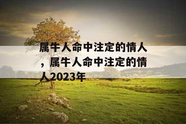 属牛人命中注定的情人，属牛人命中注定的情人2023年