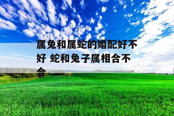 属兔和属蛇的婚配好不好 蛇和兔子属相合不合