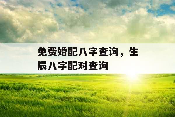 免费婚配八字查询,生辰八字配对查询 免费婚配八字查询,生辰八字配对查询