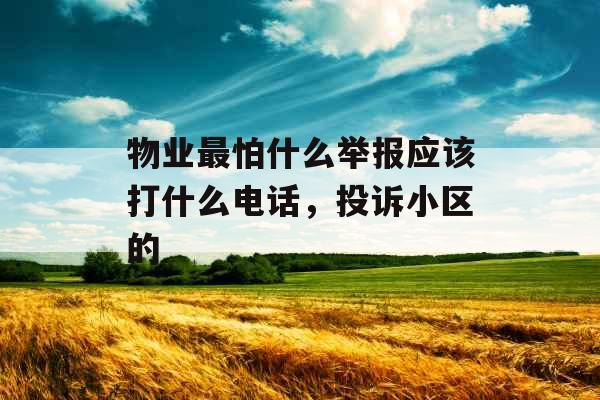 物业最怕什么举报应该打什么电话，投诉小区的