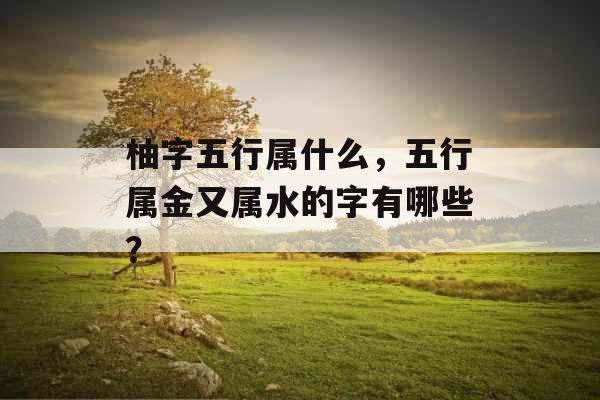 柚字五行属什么，五行属金又属水的字有哪些？