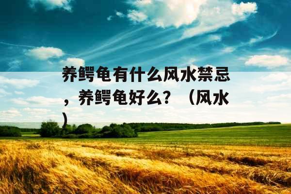 养鳄龟有什么风水禁忌，养鳄龟好么？（风水）