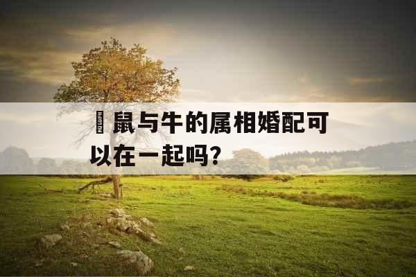 ​鼠与牛的属相婚配可以在一起吗？