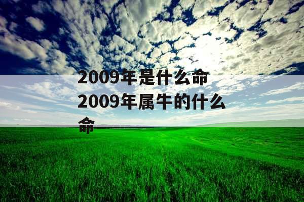 2009年是什么命 2009年属牛的什么命