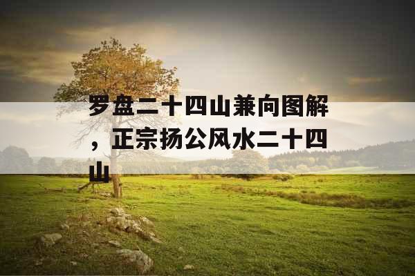 罗盘二十四山兼向图解，正宗扬公风水二十四山