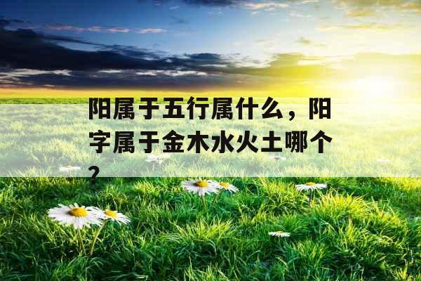 阳属于五行属什么,阳字属于金木水火土哪个? 阳属于五行属什么,阳字属于金木水火土哪个?