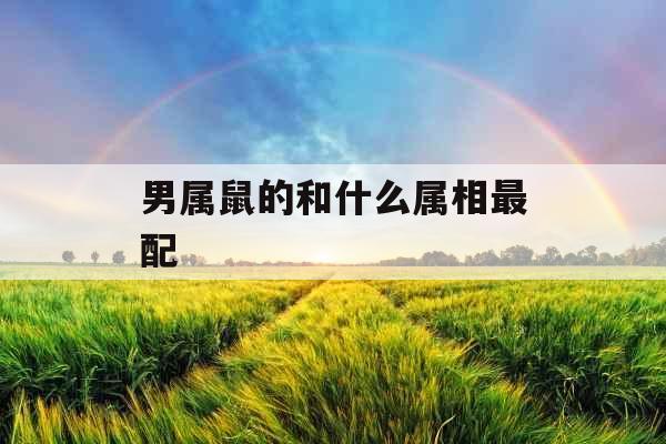 男属鼠的和什么属相最配