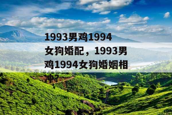 1993男鸡1994女狗婚配，1993男鸡1994女狗婚姻相冲？