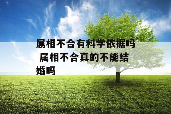 属相不合有科学依据吗 属相不合真的不能结婚吗 属相不合有科学依据吗 属相不合真的不能结婚吗