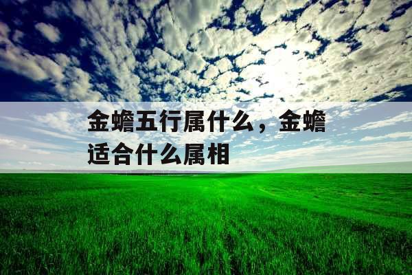 金蟾五行属什么，金蟾适合什么属相