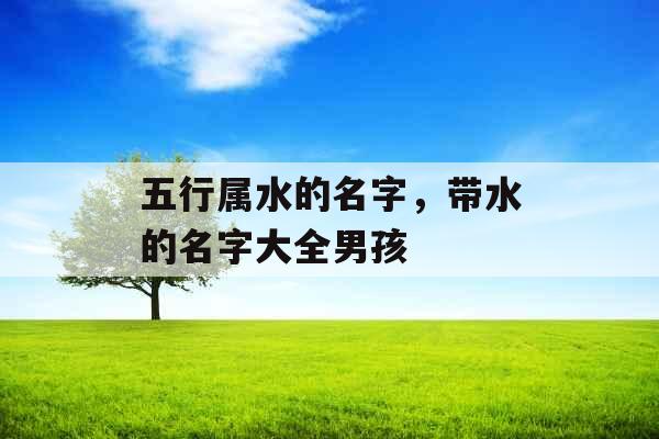 五行属水的名字，带水的名字大全男孩