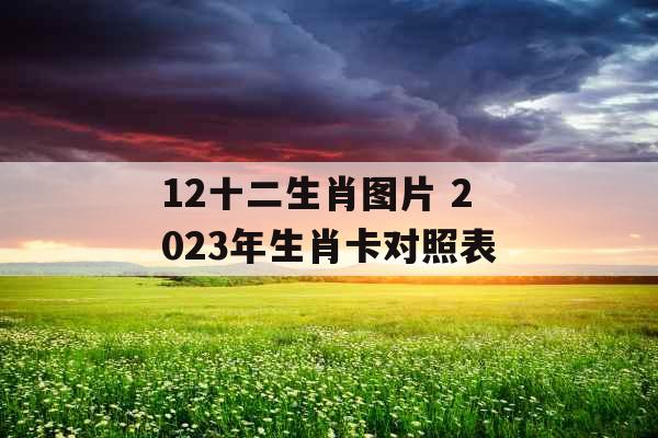 12十二生肖图片 2023年生肖卡对照表