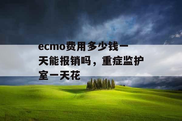 ecmo费用多少钱一天能报销吗，重症监护室一天花