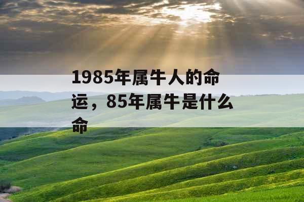 1985年属牛人的命运，85年属牛是什么命