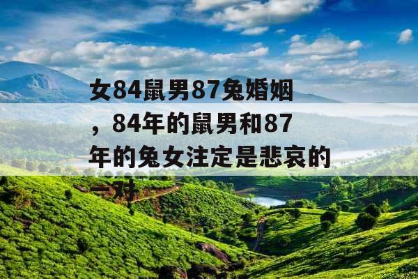 女84鼠男87兔婚姻，84年的鼠男和87年的兔女注定是悲哀的一对