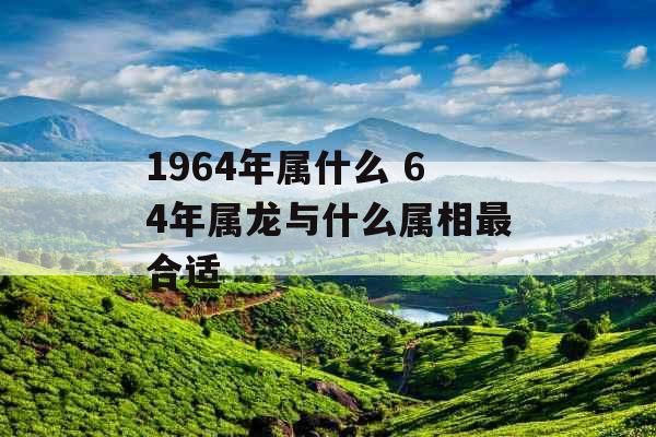 1964年属什么 64年属龙与什么属相最合适
