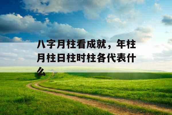 八字月柱看成就，年柱月柱日柱时柱各代表什么
