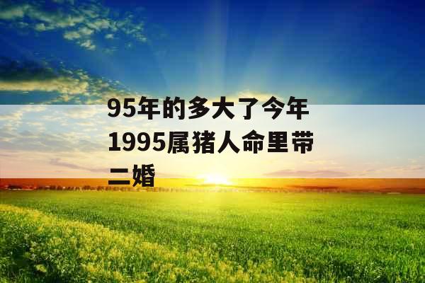 95年的多大了今年 1995属猪人命里带二婚