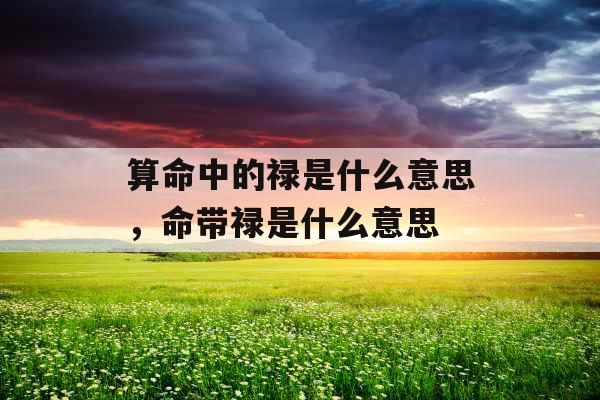 算命中的禄是什么意思，命带禄是什么意思